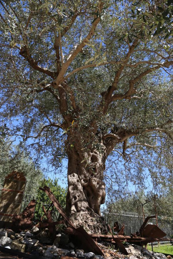 La Masseria Pietramarmo Caiazzo - App To Con Vista Ngoại thất bức ảnh