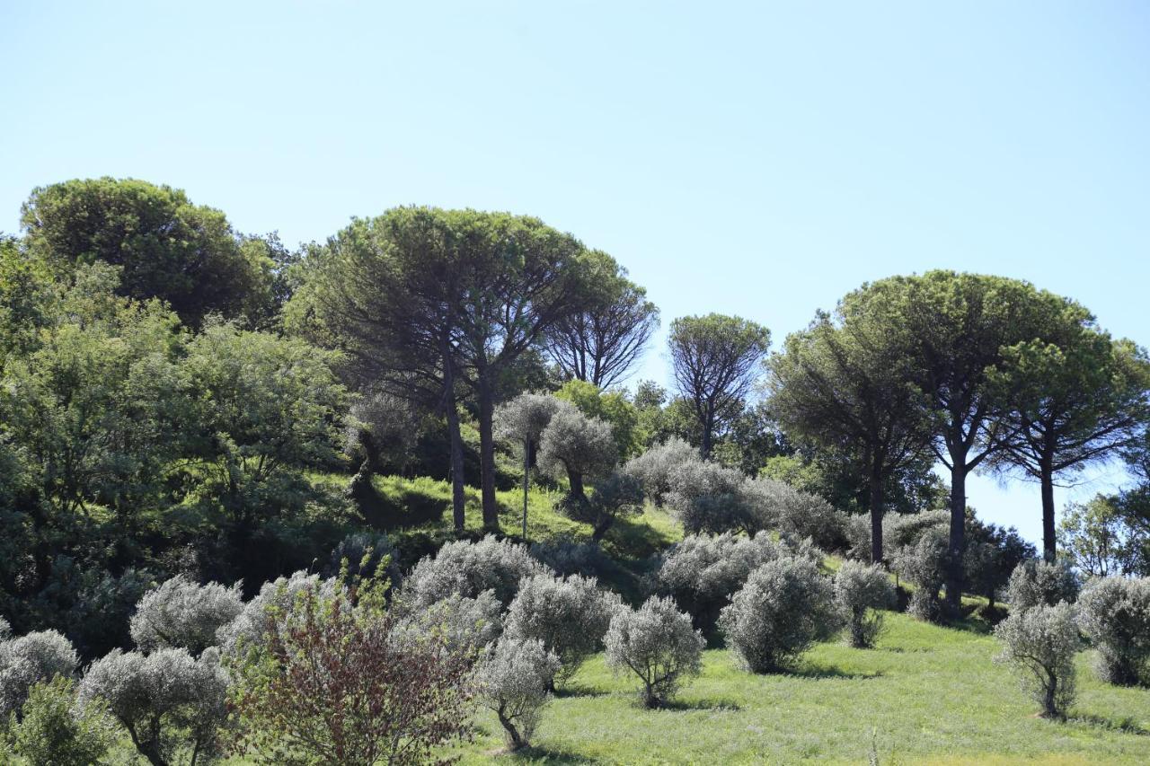 La Masseria Pietramarmo Caiazzo - App To Con Vista Ngoại thất bức ảnh